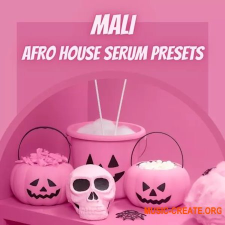 Infinity Audio Mali Afro House Serum Presets (Serum presets)