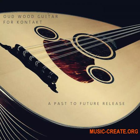PastToFutureReverbs Oud Wood Guitar for KONTAKT! (KONTAKT)