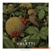 Zenhiser Valetti - Organic House (WAV)