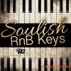 Big Citi Loops Soulish RnB Keys (WAV) Big Citi Loops Soulish RnB Keys (WAV)