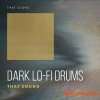 That Sound Dark Lo-Fi Drums (WAV) That Sound Dark Lo-Fi Drums (WAV)