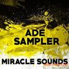 Miracle Sounds ADE Sampler (MULTiFORMAT) Miracle Sounds ADE Sampler (MULTiFORMAT)
