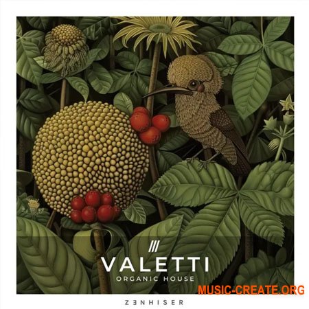 Zenhiser Valetti - Organic House