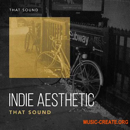 That Sound Indie Aesthetic (WAV)