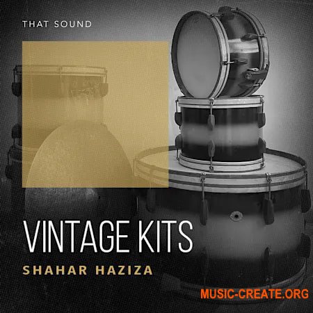 That Sound Vintage Kits (WAV)