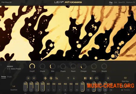 Native Instruments Leap Afrobeats v1.0.0 (KONTAKT)