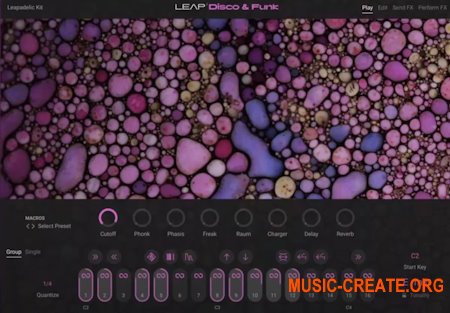 Native Instruments Leap Disco and Funk v1.0.0 (KONTAKT)