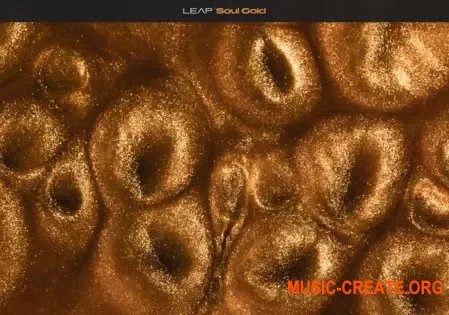 Native Instruments Soul Gold (KONTAKT)