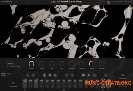 Native Instruments Leap Platinum Pop v1.0.0 (KONTAKT)