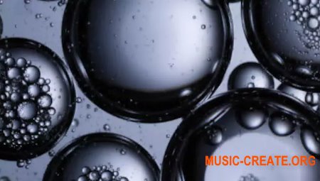 Native Instruments Leap RnB Licks v1.0.0 (KONTAKT)