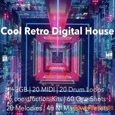 The Audio Bar Cool Retro Digital House (WAV MiDi Massive presets)