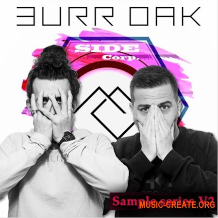 Sidecorp Sample Series Neuro D&B V2 Burr Oak (WAV Serum presets)