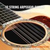 PastToFutureReverbs 12 String Arpeggio Guitar For Kontakt! (KONTAKT) PastToFutureReverbs 12 String Arpeggio Guitar For Kontakt! (KONTAKT)