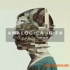 Zenhiser Analogica In F# (WAV)