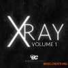 Big Citi Loops X-Ray Vol 1 (WAV) Big Citi Loops X-Ray Vol 1 (WAV)