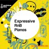 Multiton Bits Expressive RnB Pianos (WAV) Multiton Bits Expressive RnB Pianos (WAV)