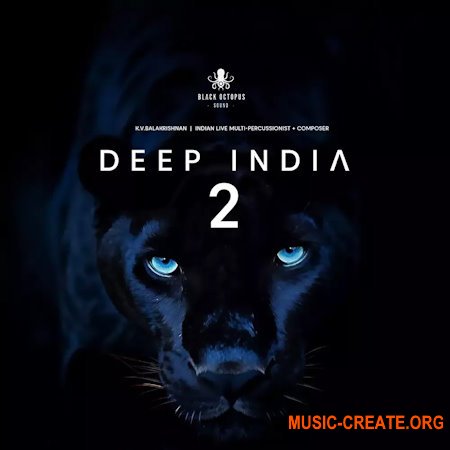 Black Octopus Sound Deep India Vol.2 (WAV)