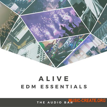 The Audio Bar Alive EDM Essentials (WAV)