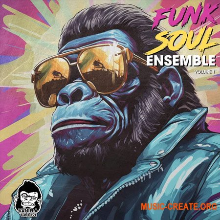 Vanilla Groove Studios Funk Soul Ensemble Vol 1