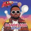 Dik3l Sounds Dandelion - Afro Wave (WAV, MiDi) Dik3l Sounds Dandelion - Afro Wave (WAV, MiDi)