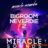 Miracle Sounds Bigroom Neverdie 2 (WAV, MiDi) Miracle Sounds Bigroom Neverdie 2 (WAV, MiDi)