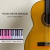 PastToFutureReverbs Nylon Guitar Arpeggio (KONTAKT) PastToFutureReverbs Nylon Guitar Arpeggio (KONTAKT)