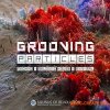Resonance Sound SOR: Grooving Particles (WAV) Resonance Sound SOR: Grooving Particles (WAV)