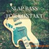 PastToFutureReverbs Slap Bass (KONTAKT) PastToFutureReverbs Slap Bass (KONTAKT)