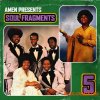 Boom Bap Labs Amen Soul Fragments Vol.5 (WAV) Boom Bap Labs Amen Soul Fragments Vol.5 (WAV)