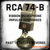 PastToFutureReverbs RCA 74B Ribbon Microphone (WAV)