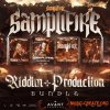 Avant Samples Samplifires Riddim Production Bundle (WAV, Ableton Project, Serum and Vital Presets) Avant Samples Samplifires Riddim Production Bundle (WAV, Ableton Project, Serum and Vital Presets)