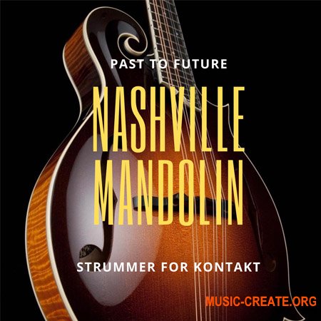 PastToFutureReverbs Nashville Mandolin Strummer