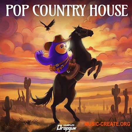 Dropgun Samples Pop Country House