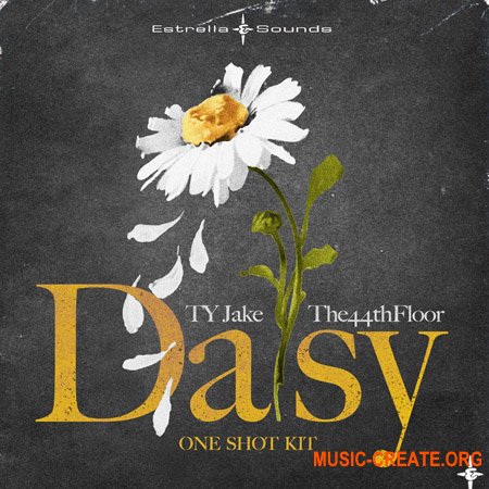 Estrella Sounds Daisy