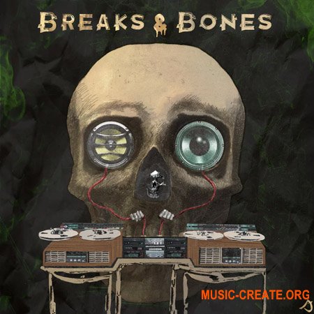 Streetlight Society Breaks and Bones