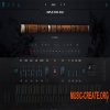 Ample Sound Ample China Dadi v1.0.1 (R2R)
