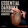 Gio Israel Essential Darbuka Percussion Grooves (WAV) Gio Israel Essential Darbuka Percussion Grooves (WAV)