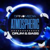 5Pin Media 5Pin Media: Atmospheric Drum and Bass (WAV, MiDi, AIFF)