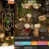 Toontrack Alchemy of Pop EZX (SOUNDBANK) Toontrack Alchemy of Pop EZX (SOUNDBANK)