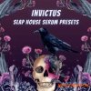 Infinity Audio Invictus Slap House (SERUM PRESETS) Infinity Audio Invictus Slap House (SERUM PRESETS)