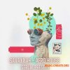 Infinity Audio Savannah Afro House (WAV, SERUM PRESETS)