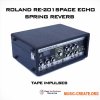 PastToFutureReverbs Roland RE-201 Space Echo Spring Reverb (IRs) (WAV) PastToFutureReverbs Roland RE-201 Space Echo Spring Reverb (IRs) (WAV)