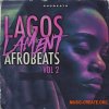 Shobeats Lagos Lament 2 - Afrobeats (WAV, MiDi)
