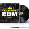 Tonepusher Old School EBM (Serum presets) Tonepusher Old School EBM (Serum presets)