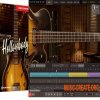 Toontrack Hollowbody EBX v1.0.0 (EBX Sound Expansion)