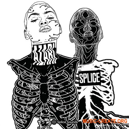 Splice Sounds AZARI Sample Pack