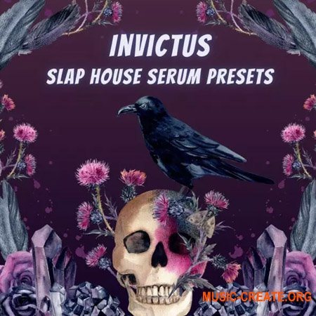 Infinity Audio Invictus Slap House