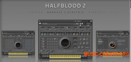 Insanity Samples HALFBLOOD 2