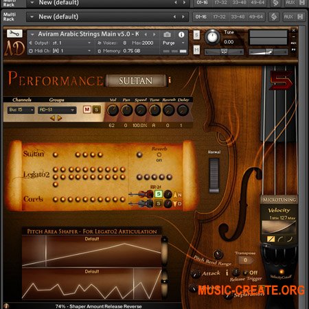Aviram Dayan Production Aviram Arabic Strings v2