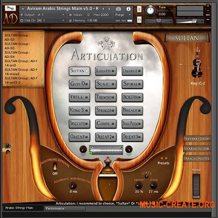 Aviram Dayan Production Aviram Arabic Strings v2